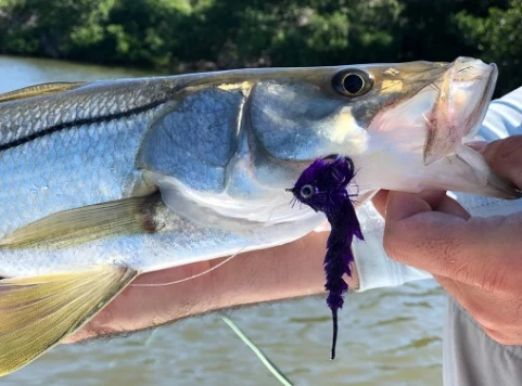 Chocklett’s Finesse Changer Streamer Black 9cm - Image 5