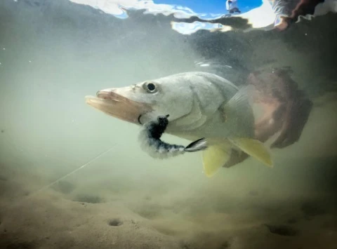 Chocklett’s Finesse Changer Streamer Black 9cm - Image 7