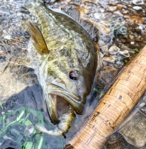 Chocklett’s Mini Finesse Changer Streamer Tan & Olive 7cm - Image 4