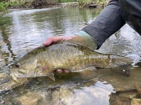 Chocklett’s Mini Finesse Changer Streamer Tan & Olive 7cm - Image 5