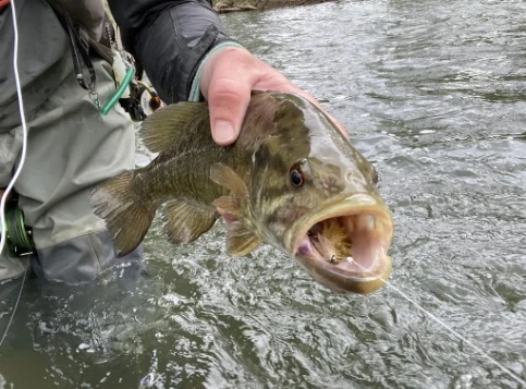 Chocklett’s Mini Finesse Changer Streamer Tan & Olive 7cm - Image 6