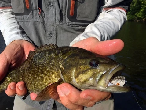 Double Barrel Baitfish Popper XL White #5/0 - Image 3