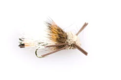 Turks Tarantulla Large #8