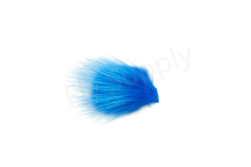 Tempel Dog - Image 7