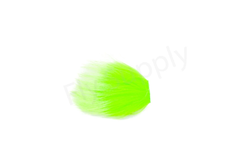 Tempel Dog - Image 12