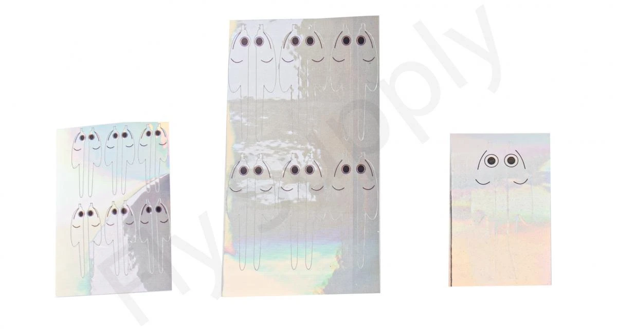 Fleye Foils 12pc - Image 3