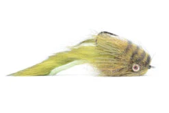 Fulling Mill El Sculpito Olive #1