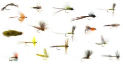 Fulling Mill Mayfly Set Premium 20pc