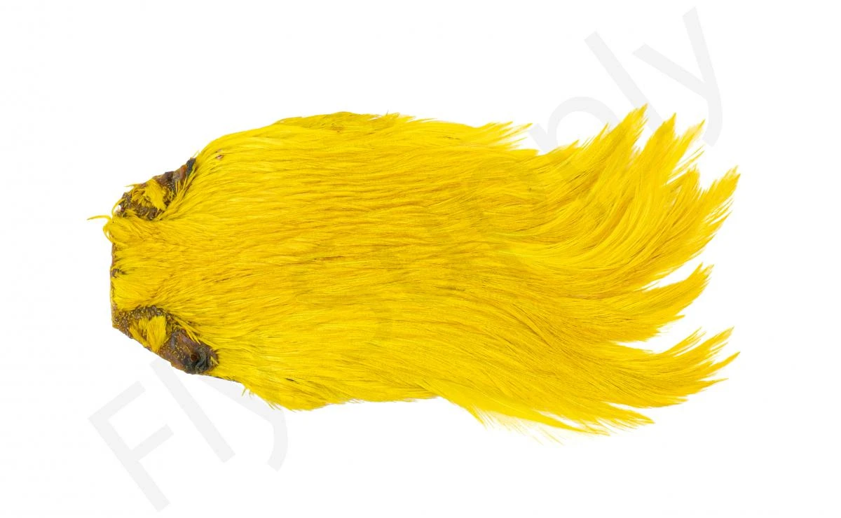 Indian Cock Necks Grade AA Dyed - Image 2