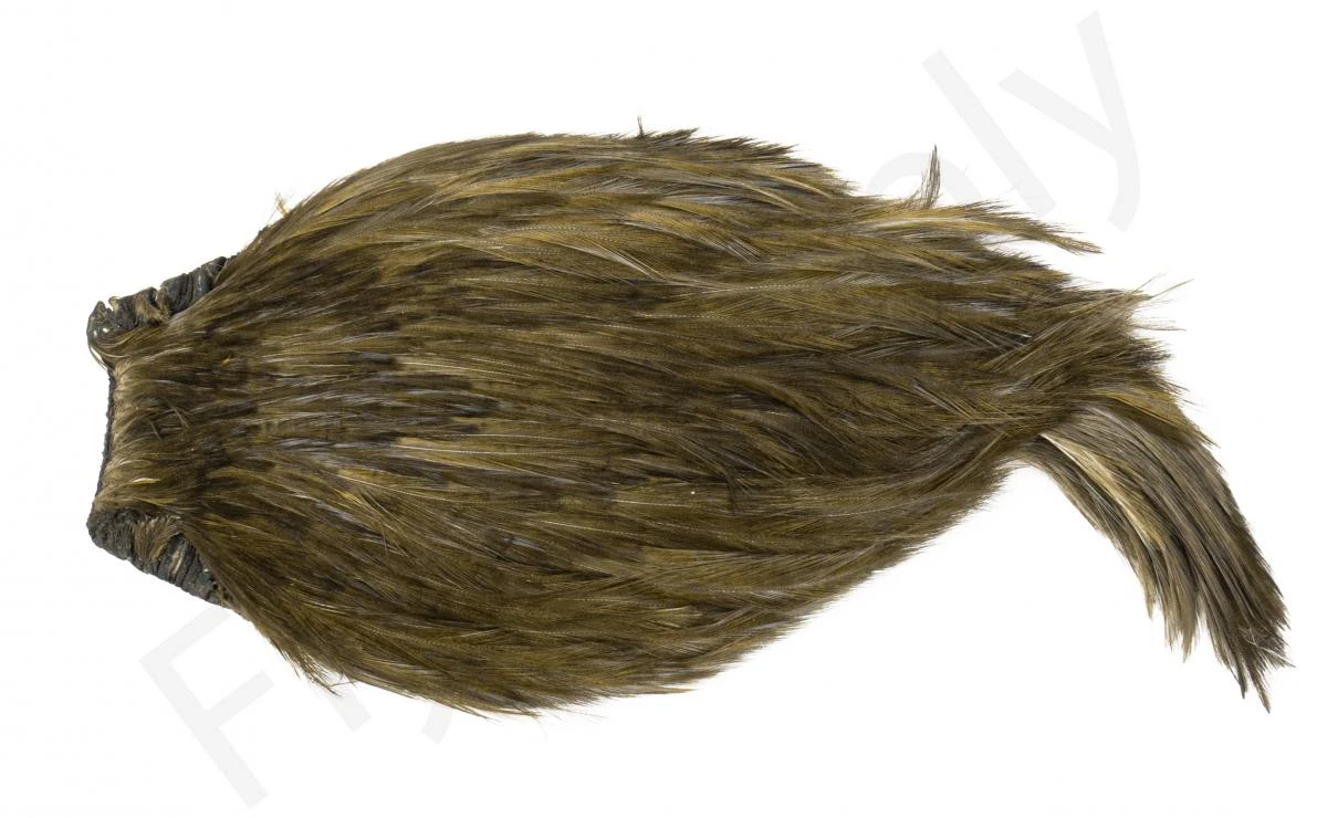 Indian Cock Necks Grade AA Dyed - Image 3