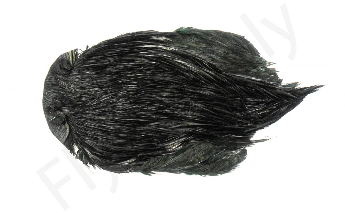 Indian Cock Necks Grade AA Dyed - Image 4