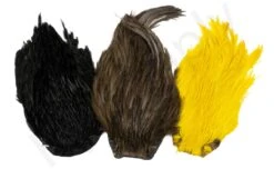 Indian Cock Necks Grade AA Dyed