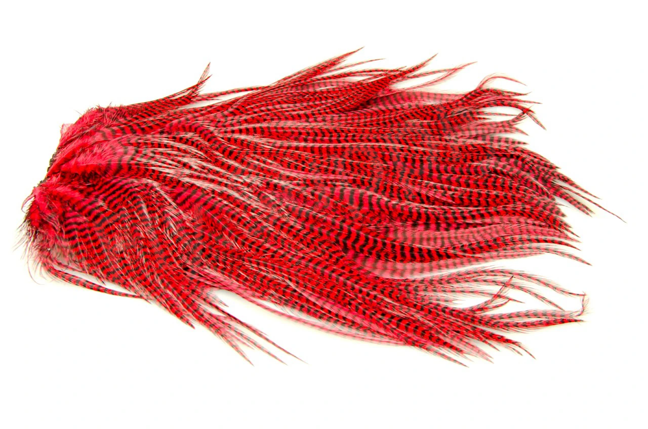 Metz Magnum Saddle #1 - Image 3