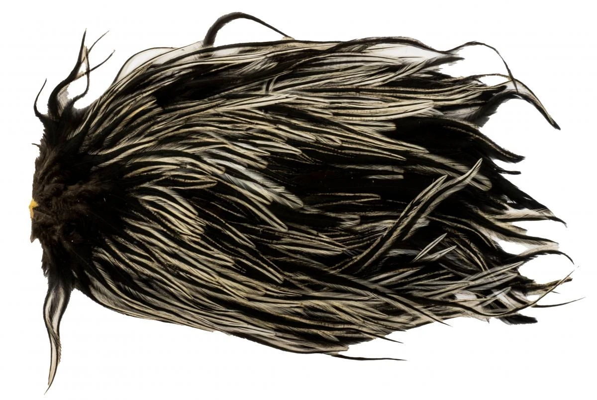 Metz Magnum Saddle #1 - Image 6