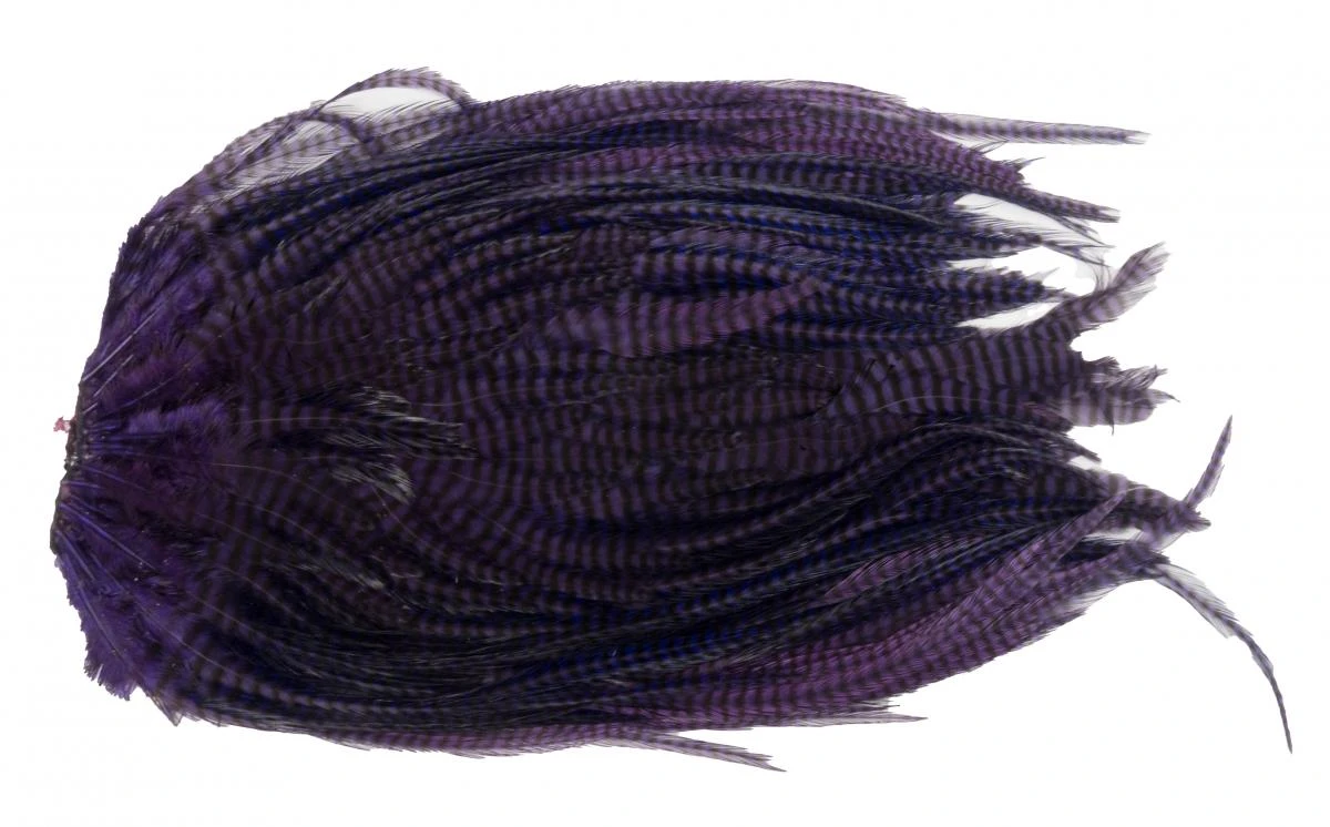 Metz Magnum Saddle #1 - Image 5