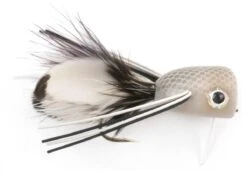 Rainy’s White CB Popper #10