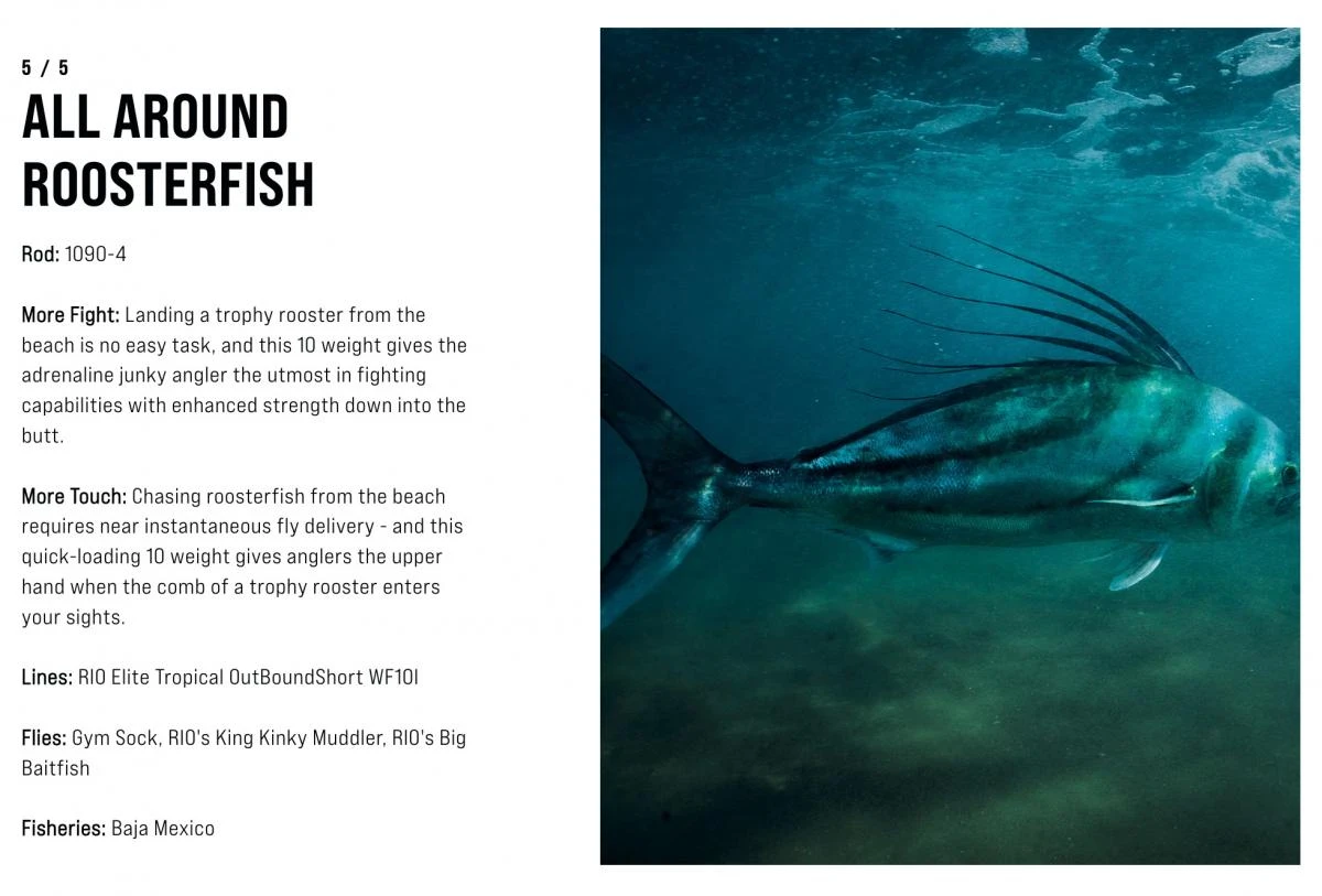 SAGE Salt R8 Fly Rod - Image 14