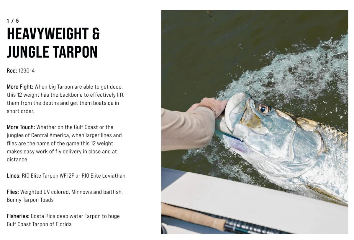 SAGE Salt R8 Fly Rod - Image 12