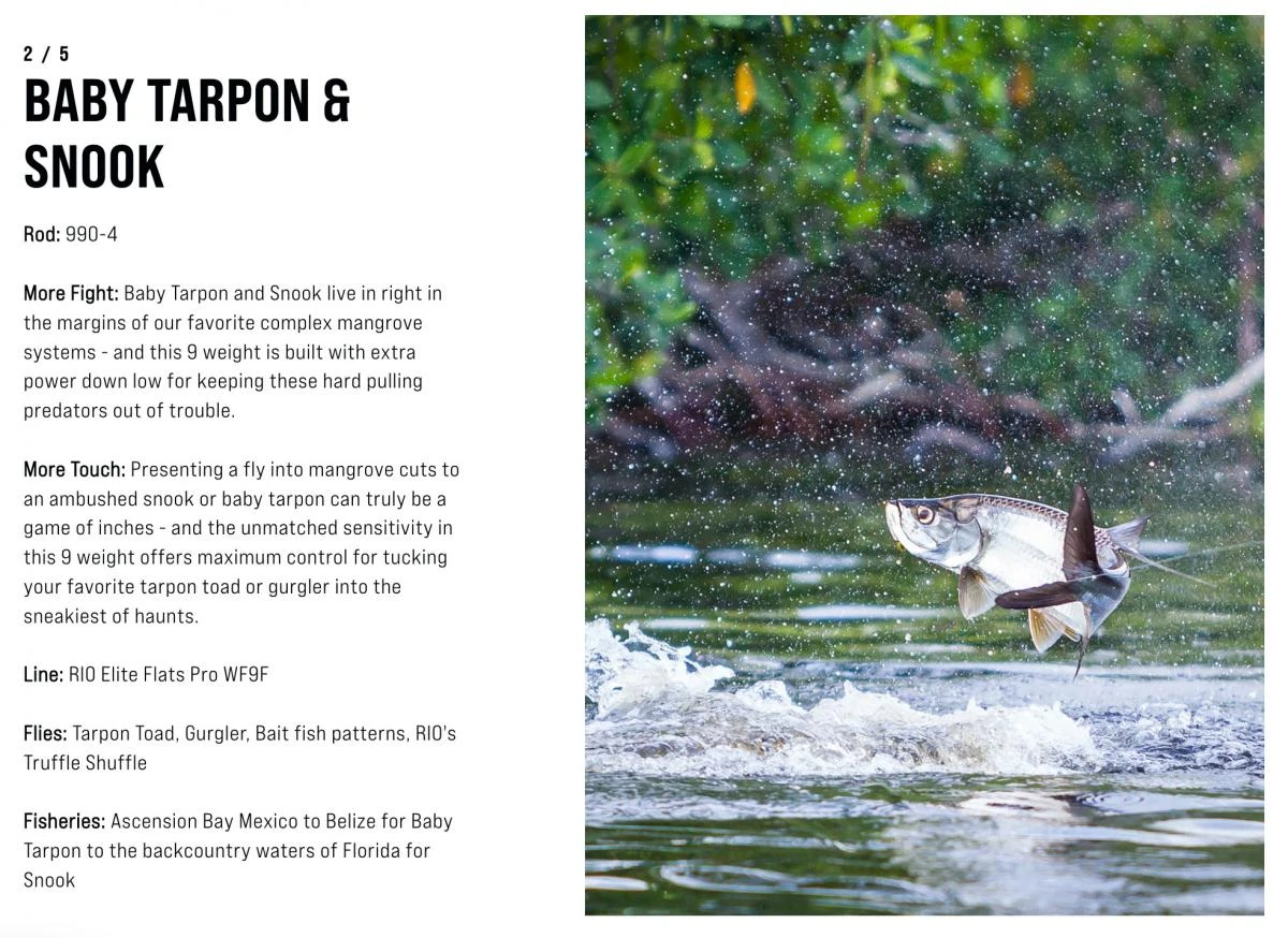 SAGE Salt R8 Fly Rod - Image 20