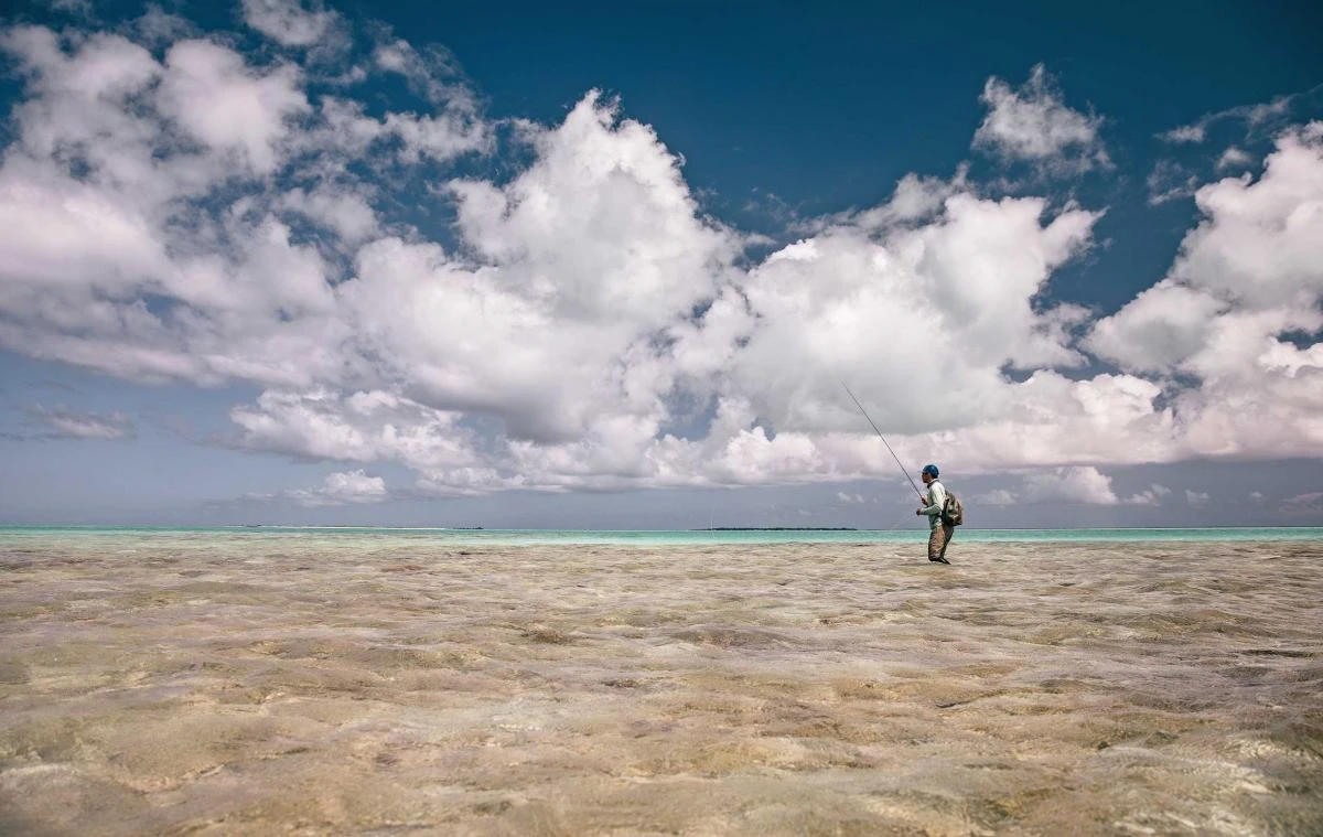 Sage Maverick Fly Rod - Image 11