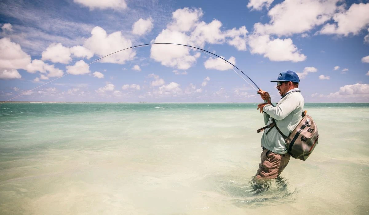 Sage Maverick Fly Rod - Image 12