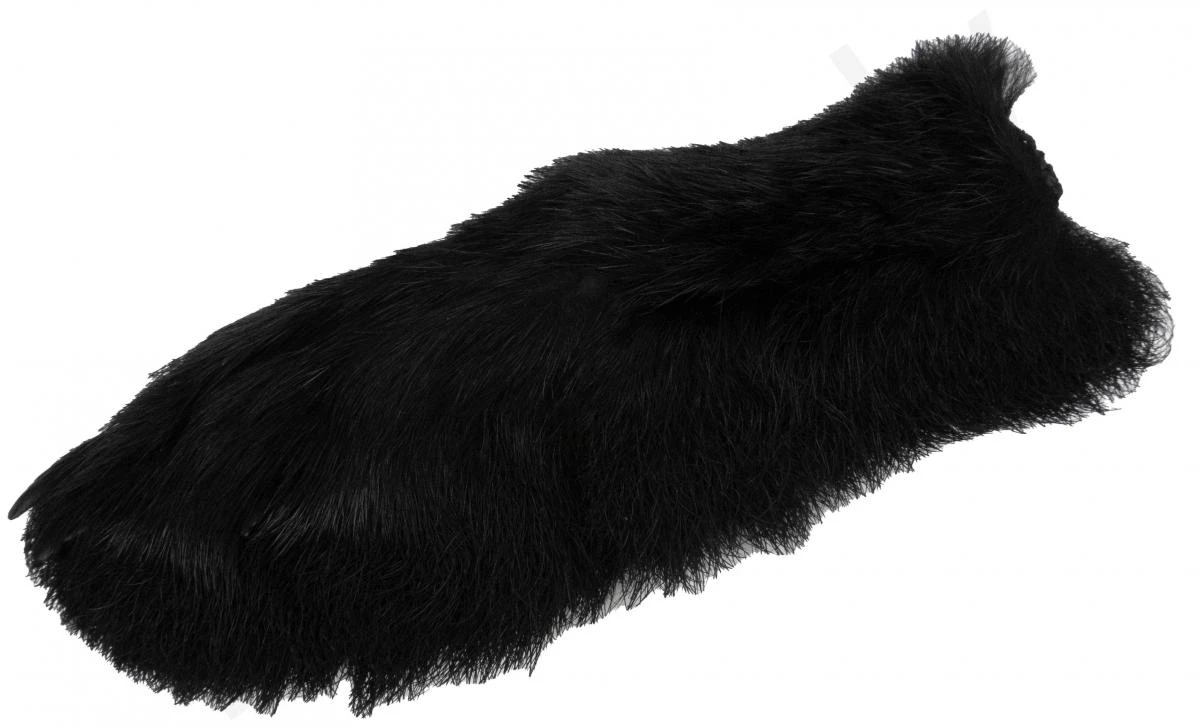 Snowshoe Rabbit - Image 5