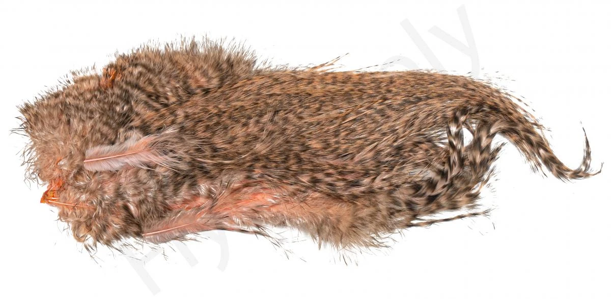 Whiting Bird Fur Feathers - Image 2