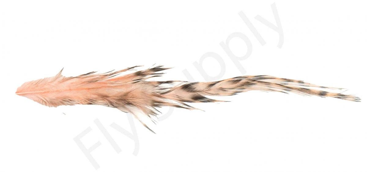 Whiting Bird Fur Feathers - Image 3