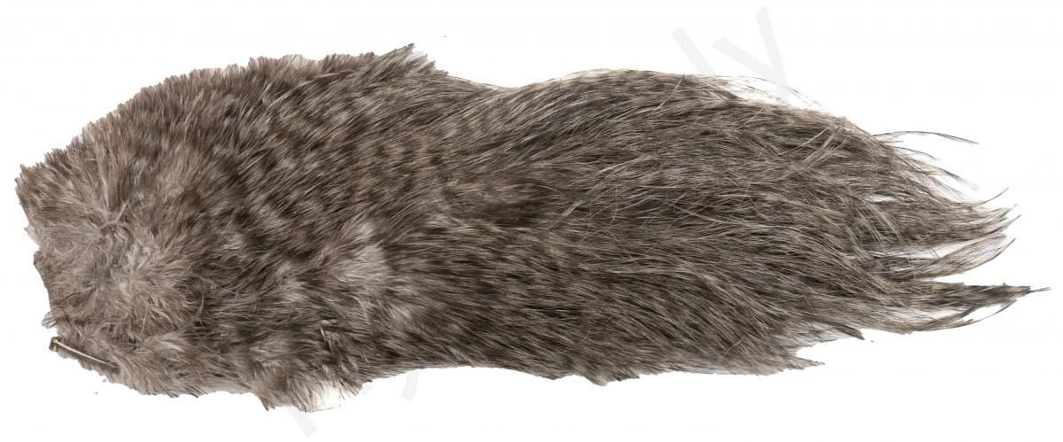 Whiting Bird Fur Feathers - Image 4