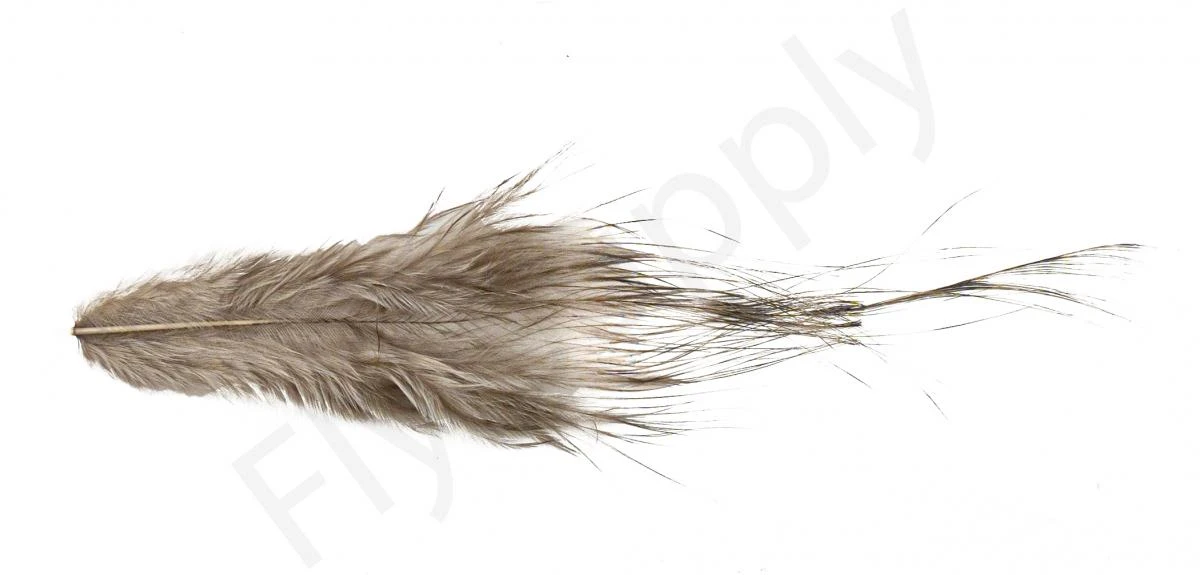 Whiting Bird Fur Feathers - Image 5