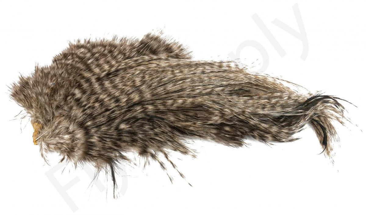 Whiting Bird Fur Feathers - Image 6