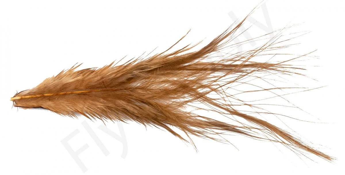 Whiting Bird Fur Feathers - Image 9