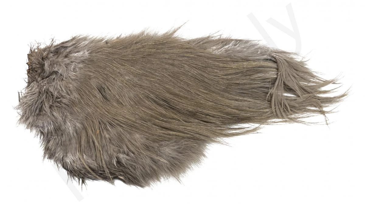 Whiting Bird Fur Feathers - Image 10