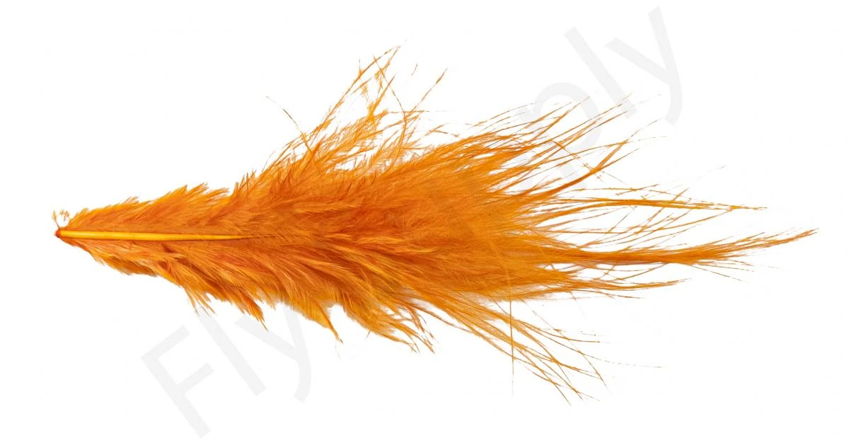 Whiting Bird Fur Feathers - Image 13