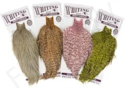 Whiting Bronze Spey Hackle Cape
