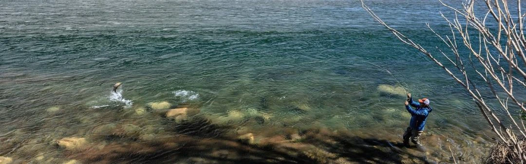 Sage Igniter 4pc Fly Rod - Image 7